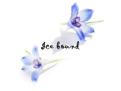 �N���]�ނ̂Ȃ�E�E�E